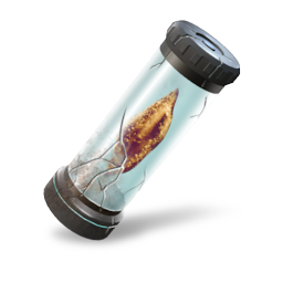 Unknown Vial