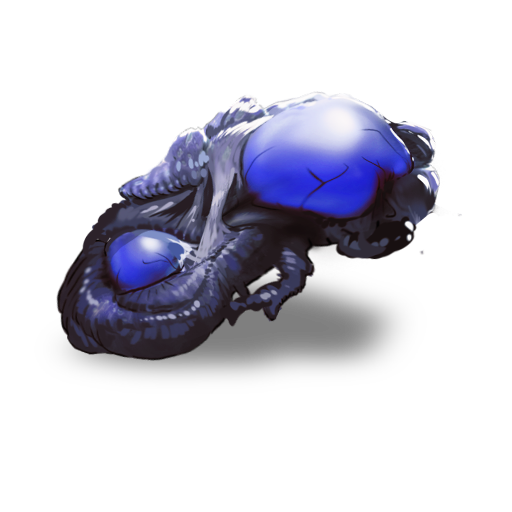 Exploder Biofact