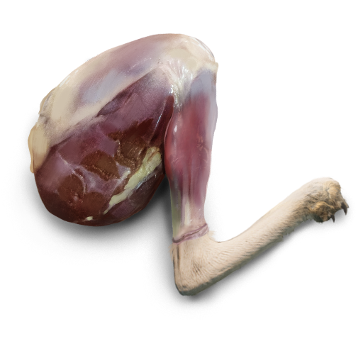 Vulpir Meat