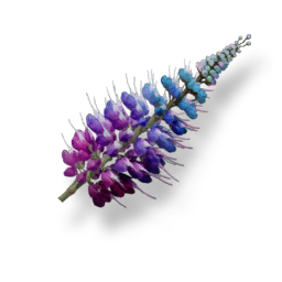 Prism Herb