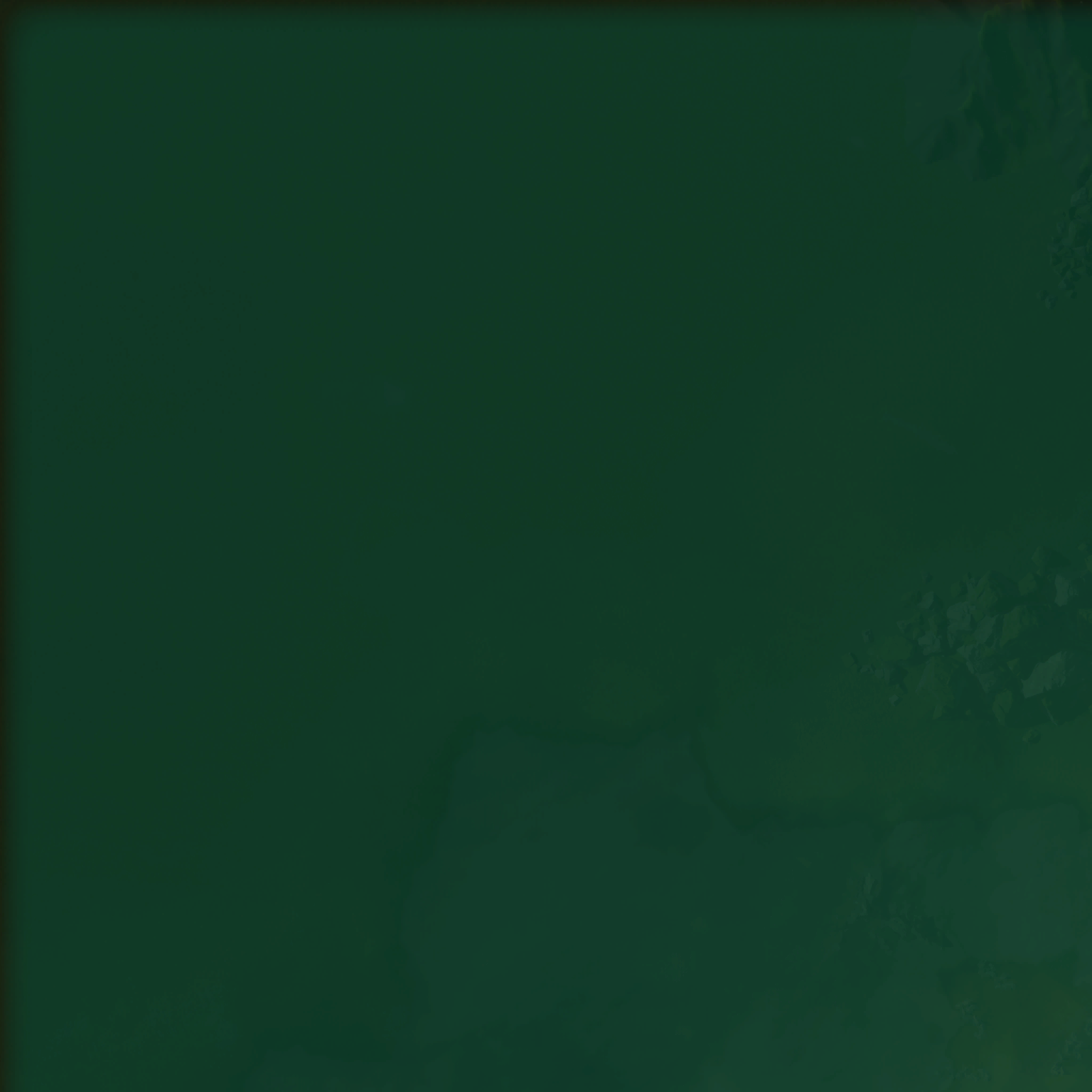Terrain 0_0