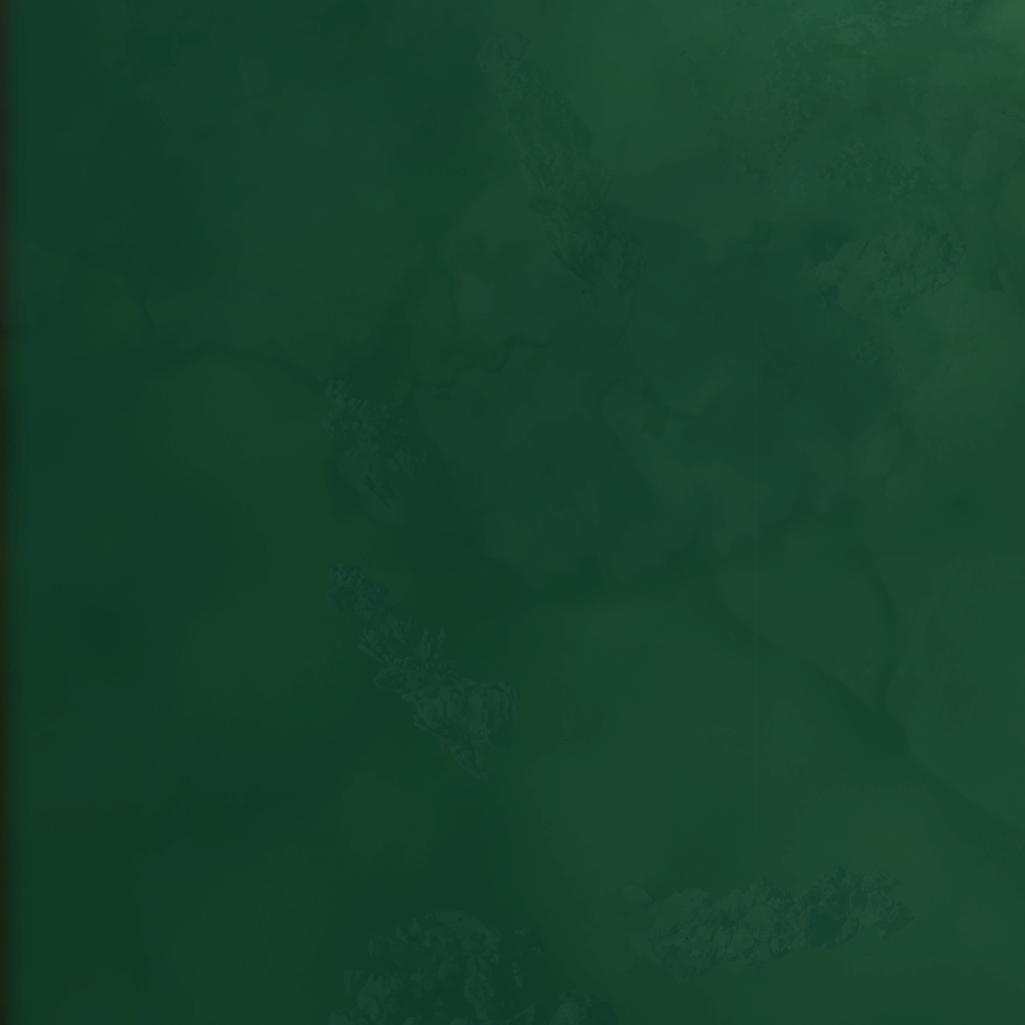 Terrain 4_0